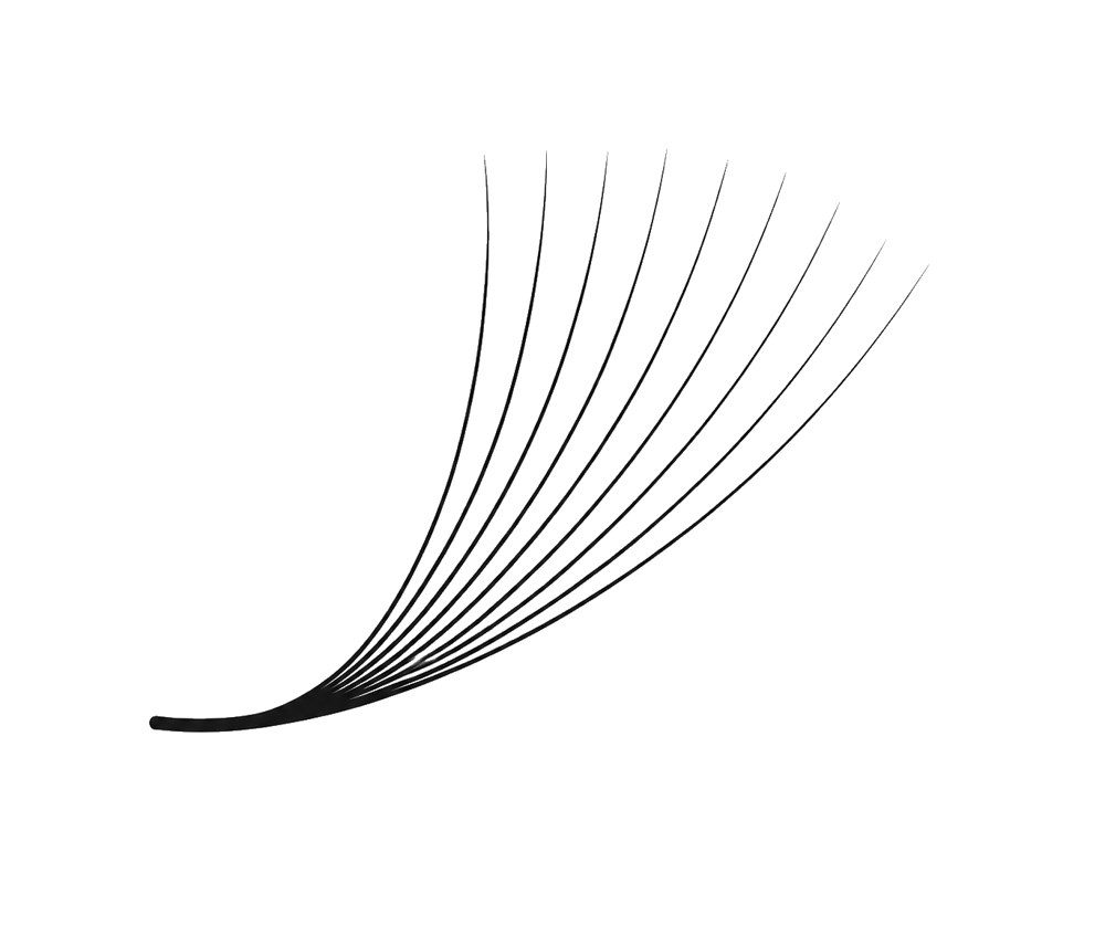 Volume lash fan