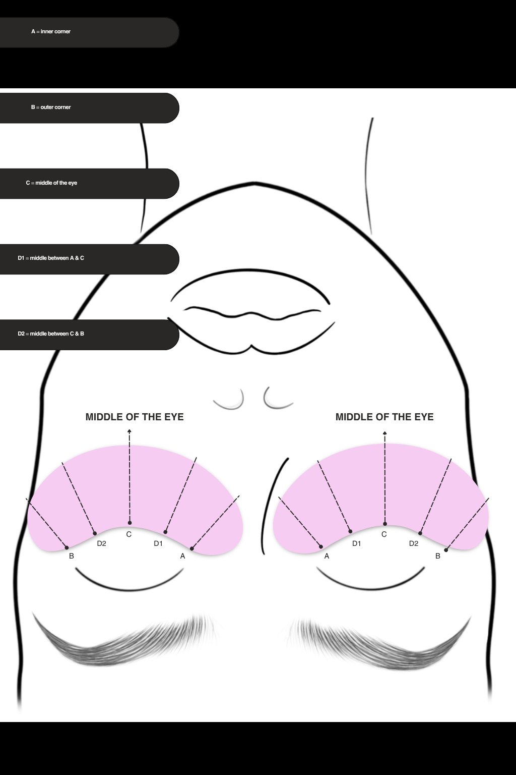 Lash mapping zones diagram: A inner corner, B outer corner, C middle of the eye, D1 and D2 midpoints